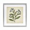 Stupell Industries Blue Buds Botanical Illustration Framed Print Under Glass, design by Petal Prints Design